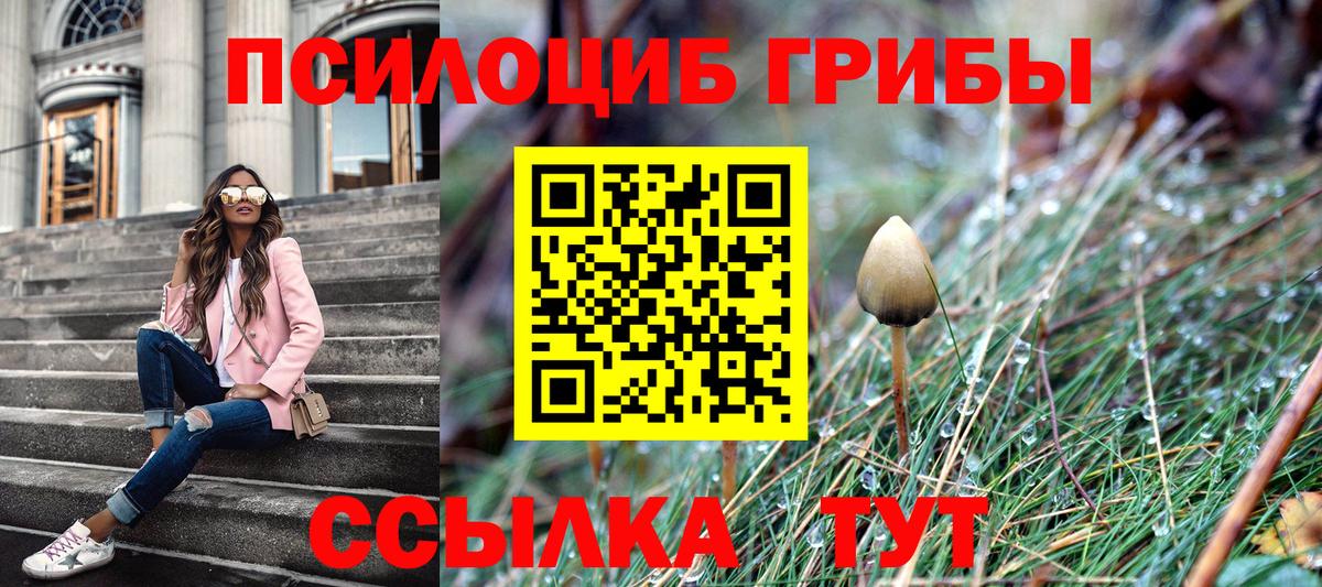 Псилоцибиновые грибы мицелий Алексеевка