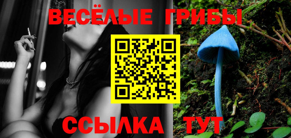 Галлюциногенные грибы ЛСД  Вход с VPN  Псилоцибиновые грибы ЛСД  Алексеевка 